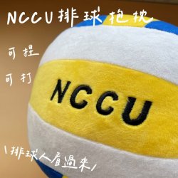 【最後50顆，售完不補】NCCU刺繡仿真排球抱枕