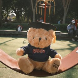 NCCU帽T畢業小熊_2025限定_深藍
